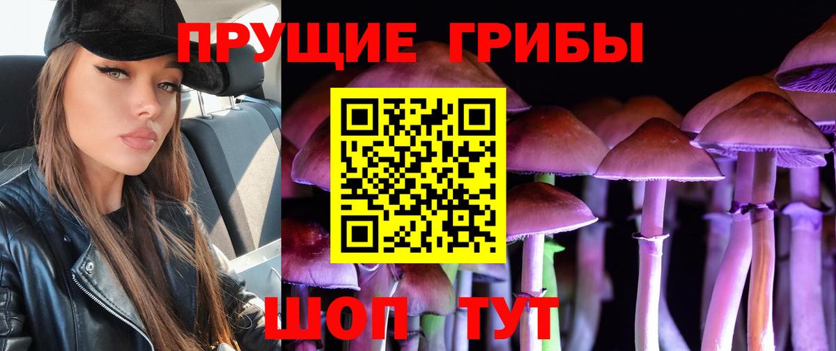 Псилоцибиновые грибы Magic Shrooms  Псилоцибиновые грибы Cubensis  Вход с VPN  Фурманов 